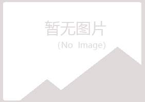 铁岭山柳咨询有限公司